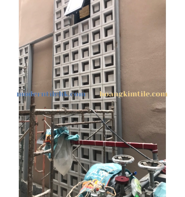 GẠCH 3D BÔNG GIÓ HKG - 415
