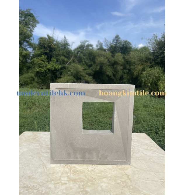 GẠCH 3D BÔNG GIÓ HKG - 405